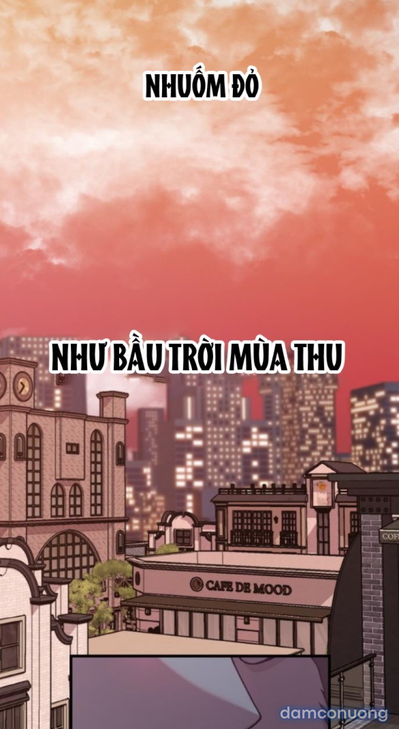 [18+] CUỘC SỐNG CỦA TÁC GIẢ TRUYỆN NGƯỜI LỚN Chapter 16 - Page 14