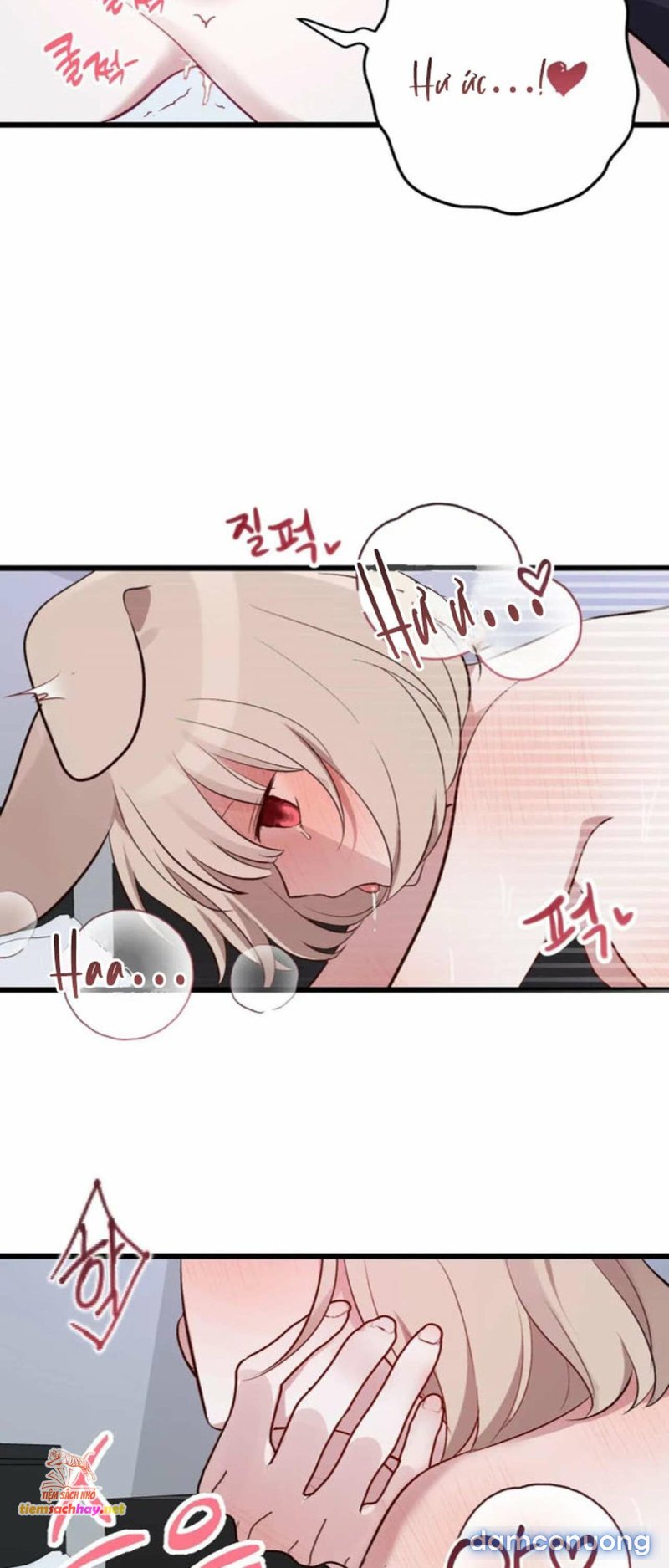 [ 18+] Rắn và thỏ có thể kết hôn không? Chapter 0 - Page 15