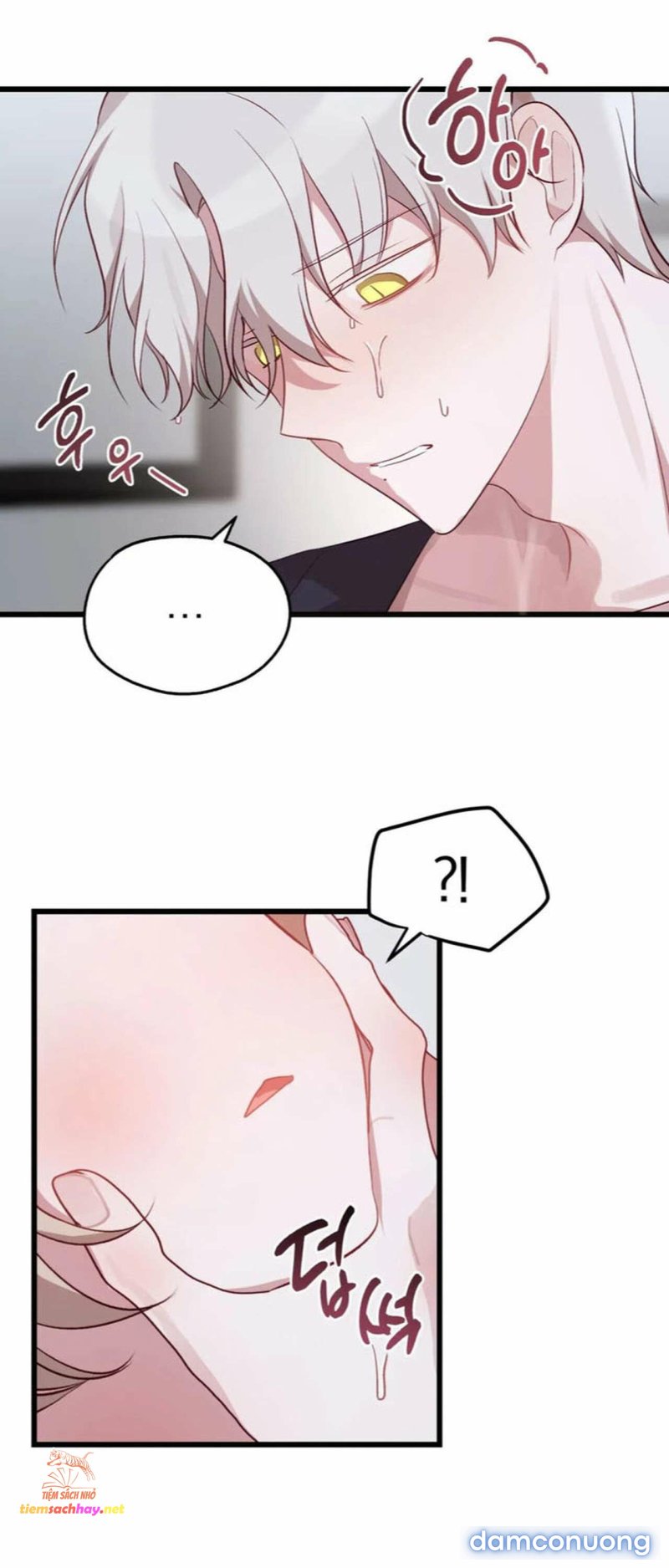 [ 18+] Rắn và thỏ có thể kết hôn không? Chapter 0 - Page 5