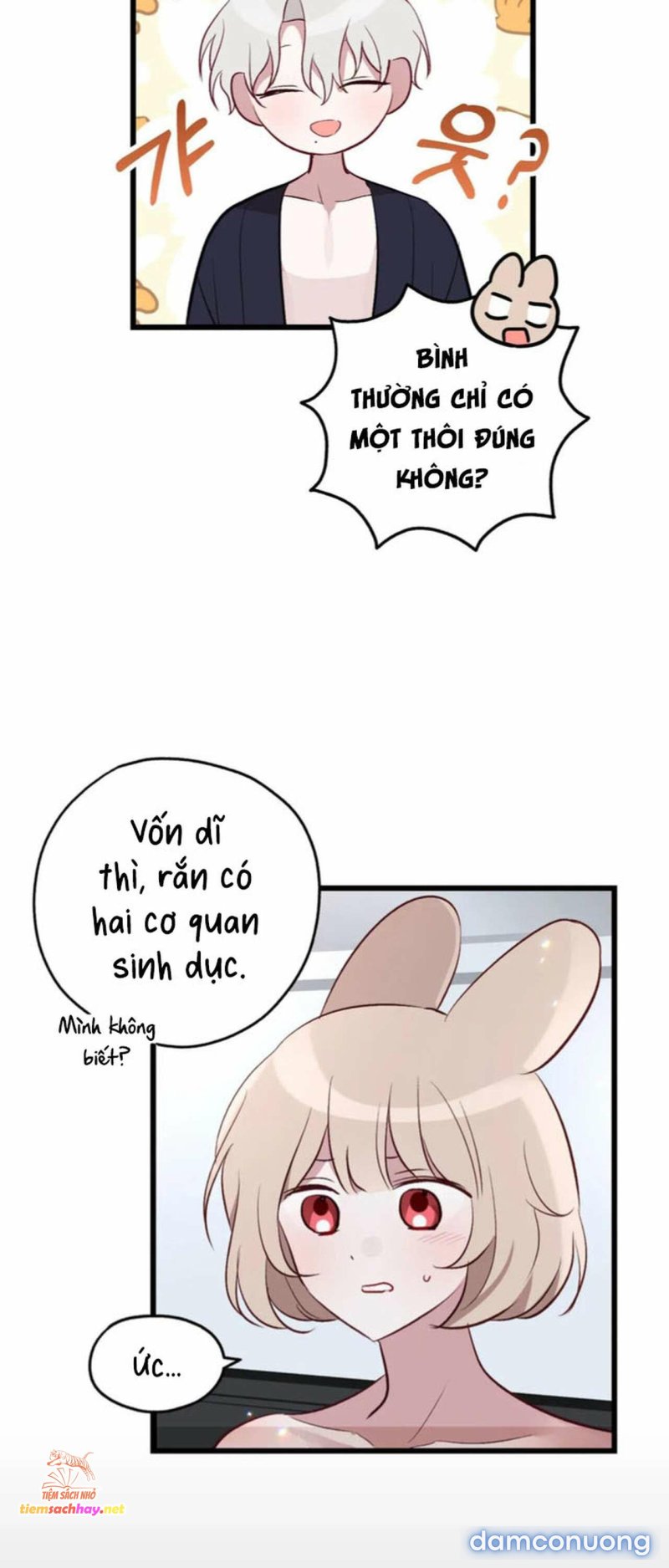 [ 18+] Rắn và thỏ có thể kết hôn không? Chapter 3 - Page 10