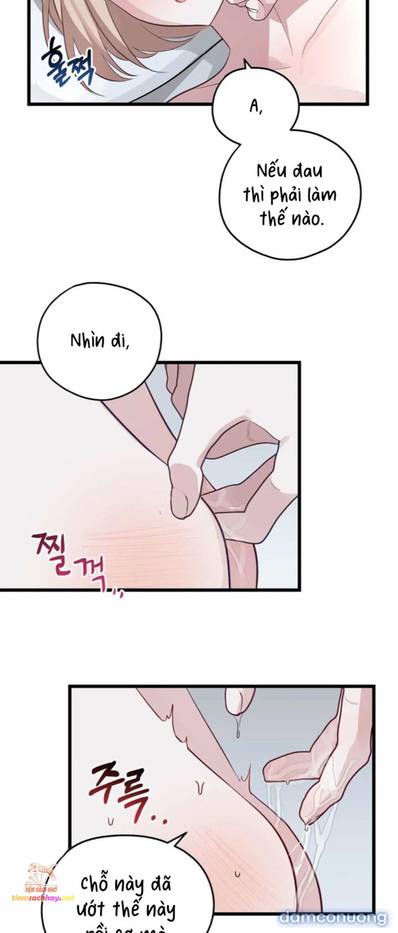 [ 18+] Rắn và thỏ có thể kết hôn không? Chapter 3 - Page 24