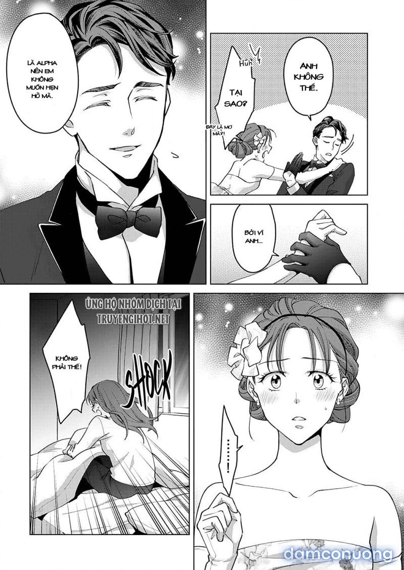 VẬN MỆNH PHÁT TÌNH~ LÍ DO TRÓI BUỘC ALPHA ƯU TÚ~ Chapter 11 - Page 19