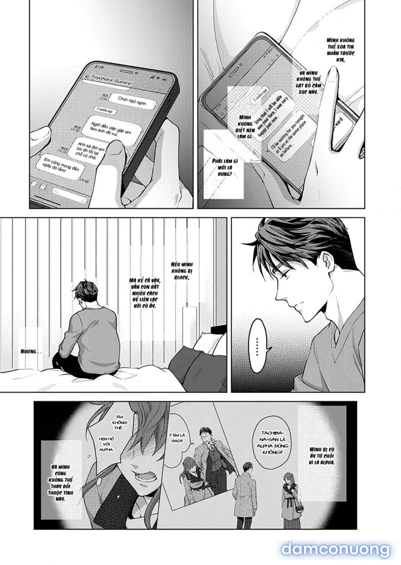 VẬN MỆNH PHÁT TÌNH~ LÍ DO TRÓI BUỘC ALPHA ƯU TÚ~ Chapter 11 - Page 23