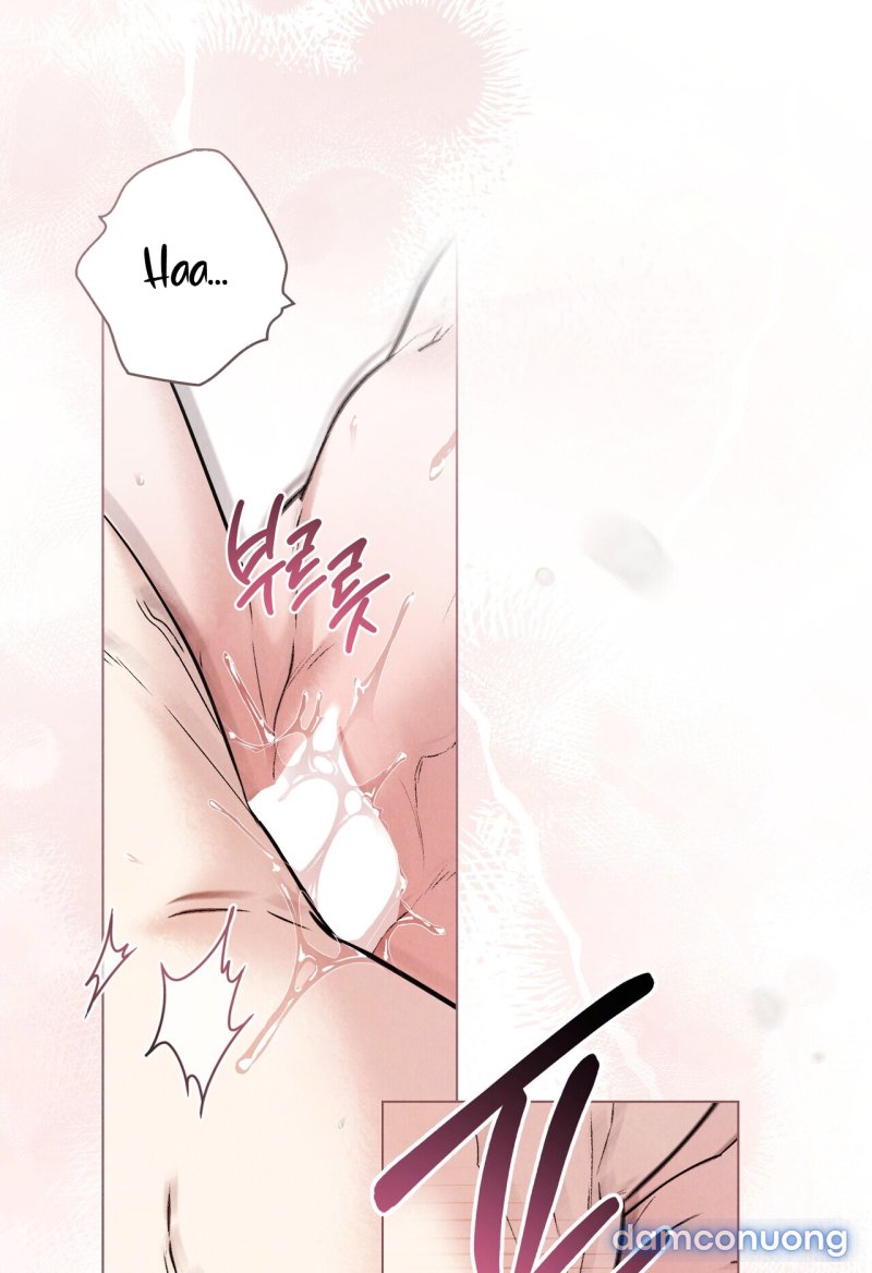 [18+] ĐÊM HỖN LOẠN - Chương 54 - Page 13