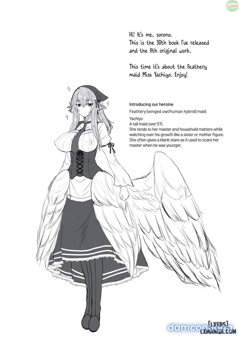 Feathery Maid Miss Yachiyo Chapter 1 - Page 3