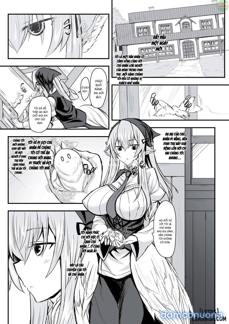 Feathery Maid Miss Yachiyo Chapter 1 - Page 4