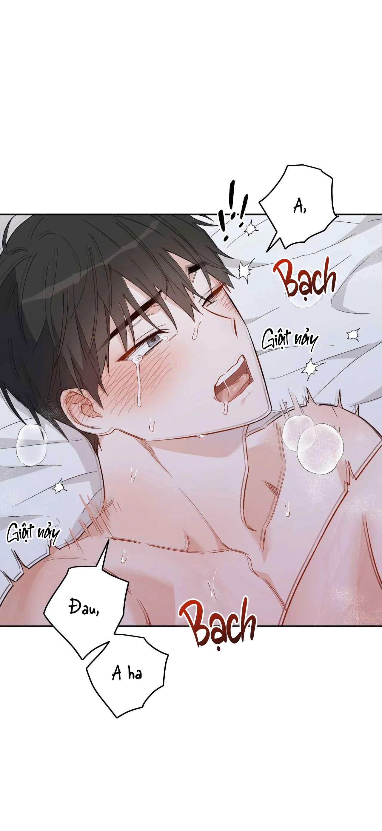 [18+ BL] VẬN MỆNH CỦA CẬU LÀ GÌ? Chapter 4 - Page 20