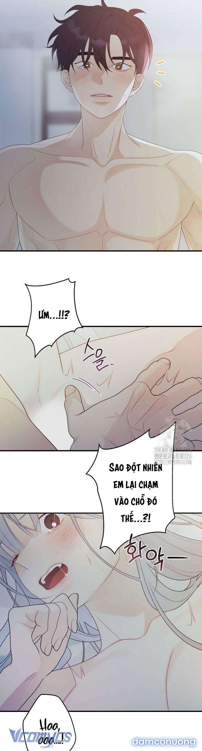 [18+] Cậu Ổn Đến Mức Nào Chapter 18 - Page 16