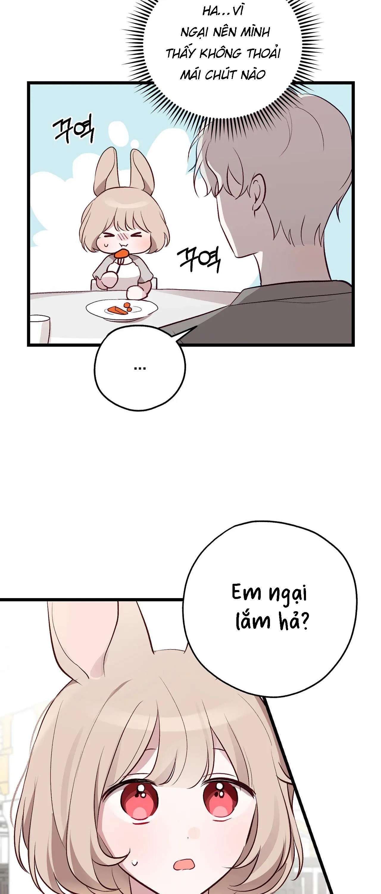 [ 18+ ] Rắn và thỏ có thể kết hôn không? Chapter 1 - Page 25