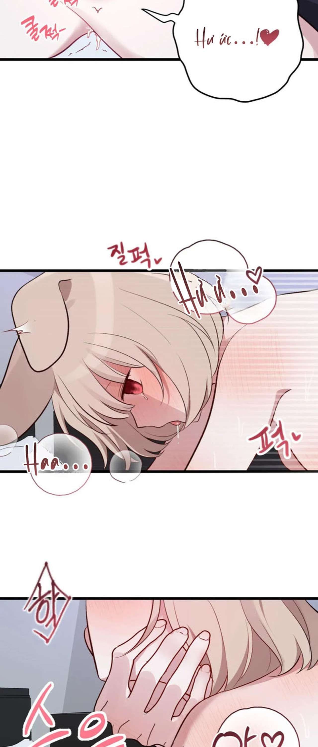 [ 18+ ] Rắn và thỏ có thể kết hôn không? Chapter 4 - Page 16