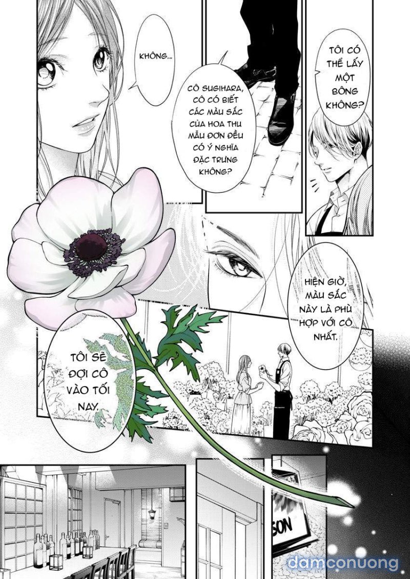 Mộng Ước Trên Những Trang Giấy Chapter 15.2 - Page 7