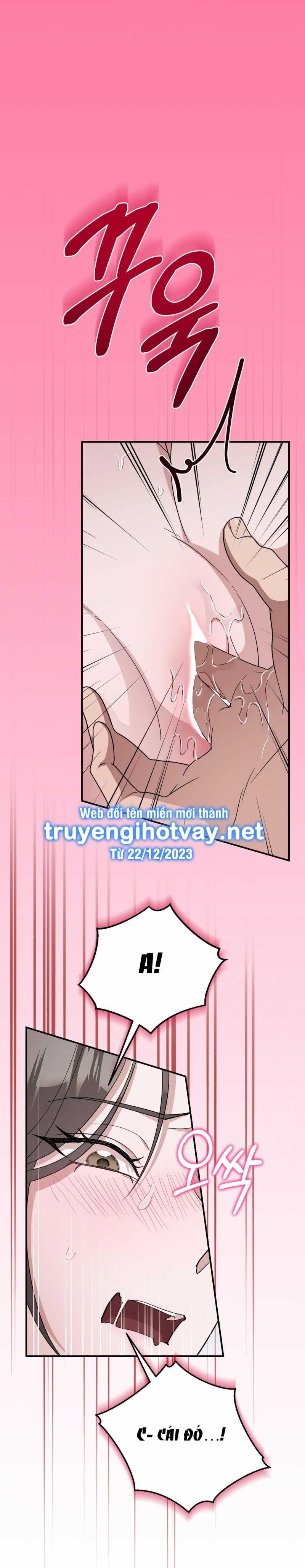 [18+] Đám Cưới Hào Nhoáng Chapter 15.2 - Page 14