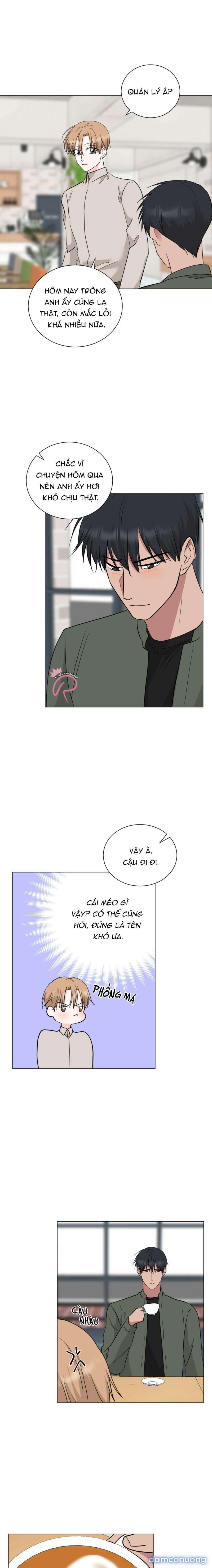 Họ Đã Ngủ Với Nhau Chapter 30 - Page 5