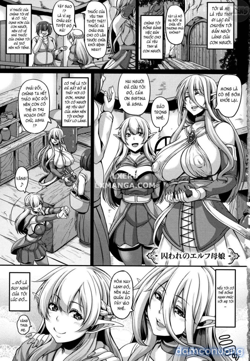 Aijou no Injoku Elf Chapter 1 - Page 7