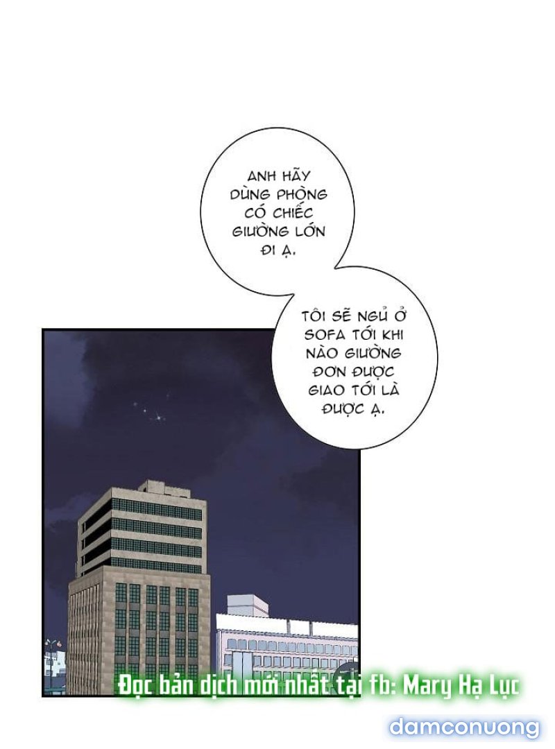 Tôi Được Tổng Giám Đốc Tỏ Tình Chapter 16 - Page 24