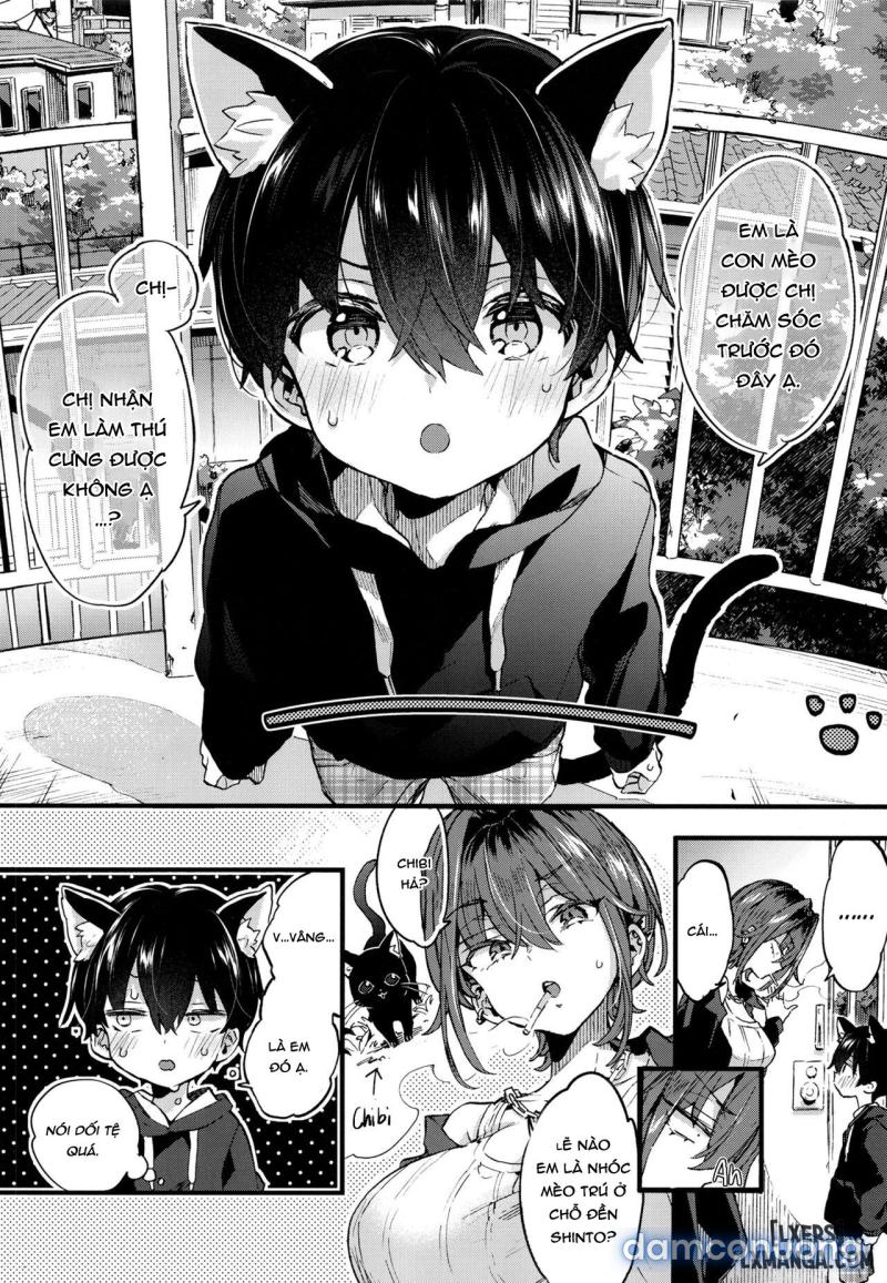 Chotto Kowai Onee-san ni Katte morau Koto ni Narimashita Chapter 1 - Page 5