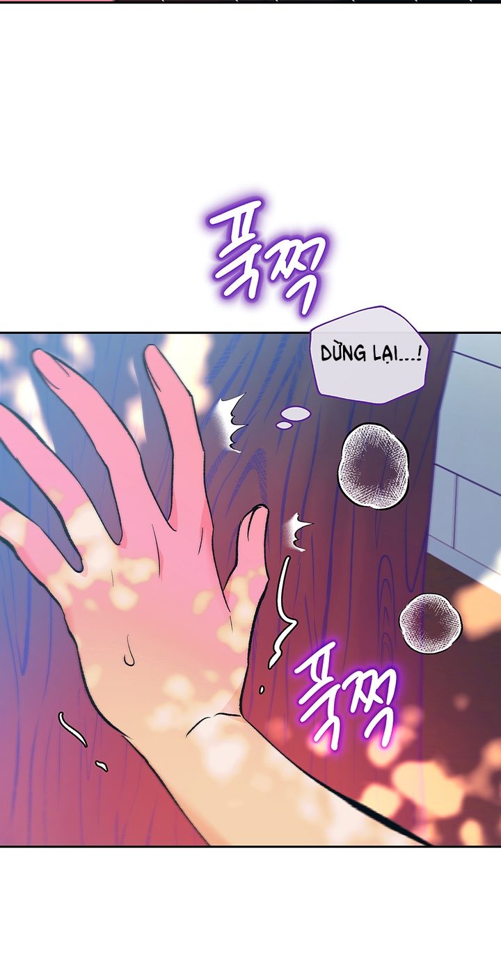 [18+] ÁC MỘNG ĐÊM HÈ Chapter 4 - Page 9