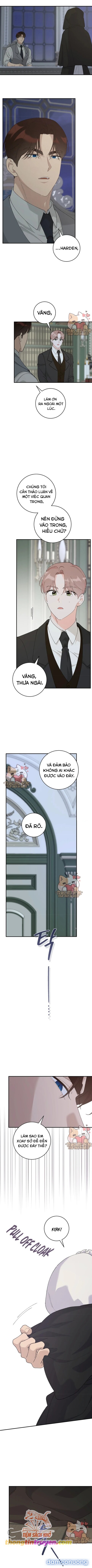 Sở Thích Khó Nói Của Quý Cô Chapter 20 - Page 6