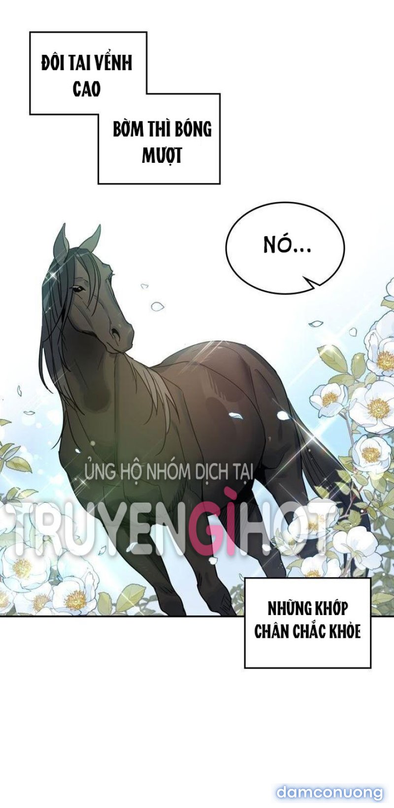 [18+] Người Đẹp Và Quái Vật Chapter 67 - Page 11