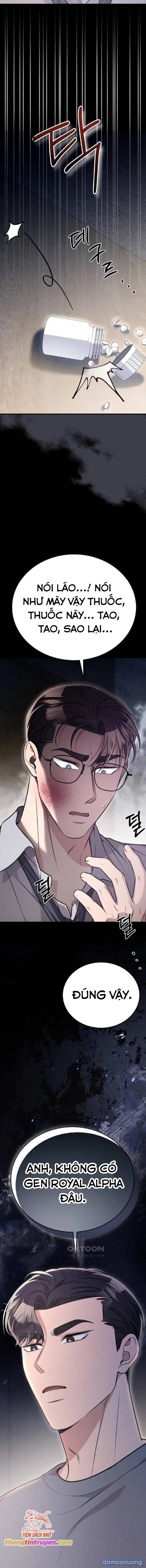 [18+] Cướp Dâu Chapter 54 - Page 19