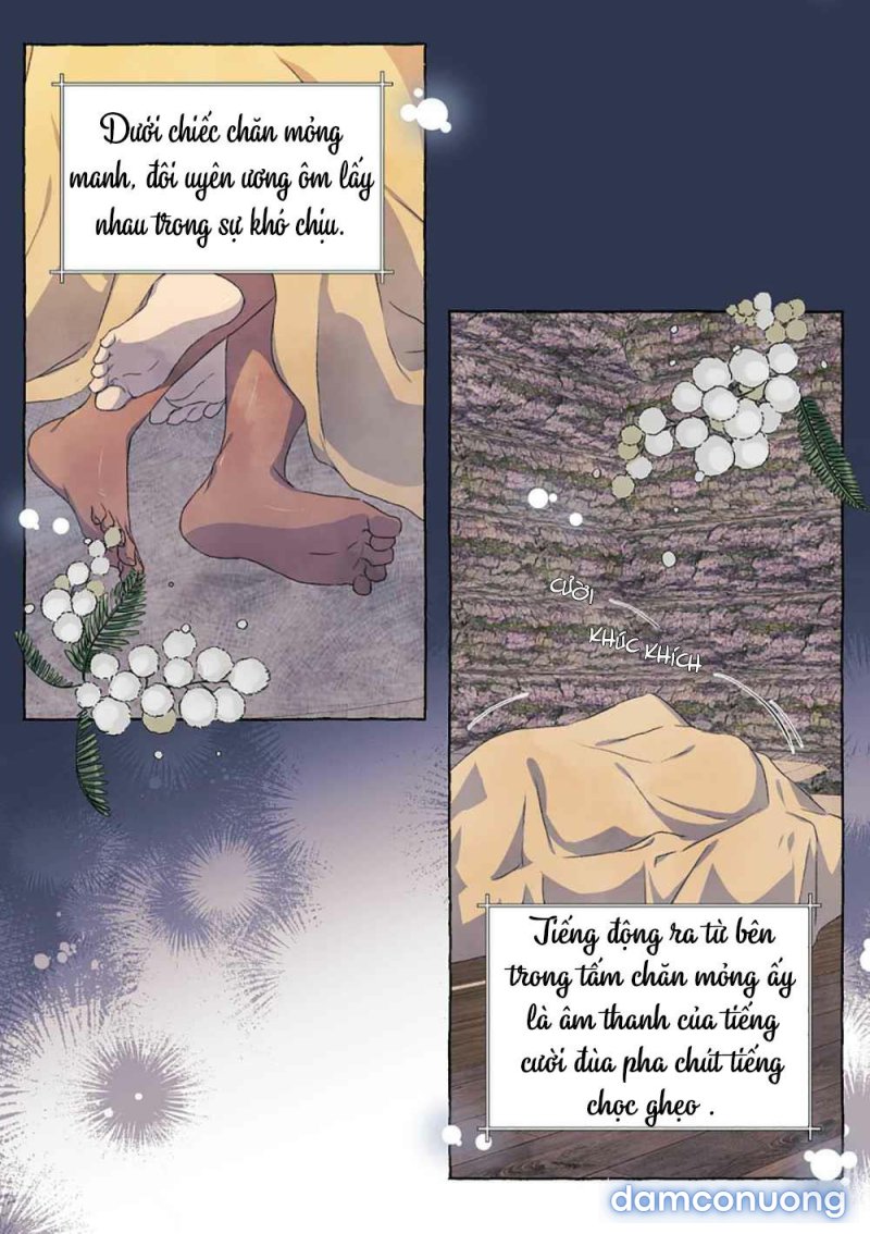 Mối Tình Đầu Của Chàng Sói Khờ Chapter 30 - Page 21