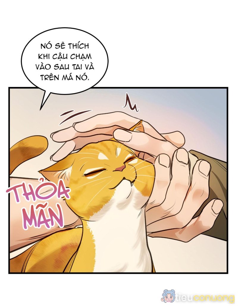 Người Trong Gương Chapter 13 - Page 36