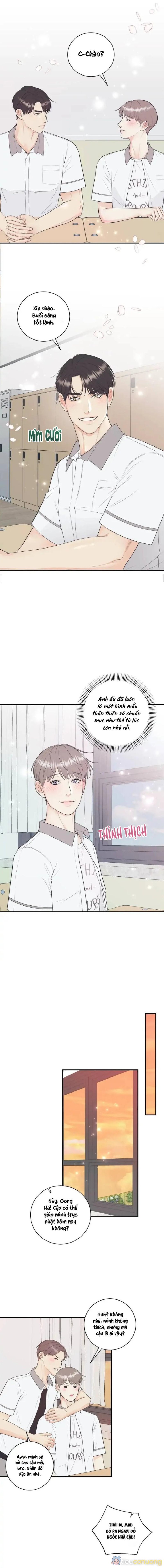 Hạnh Phúc Trọn Vẹn Chapter 67 - Page 9