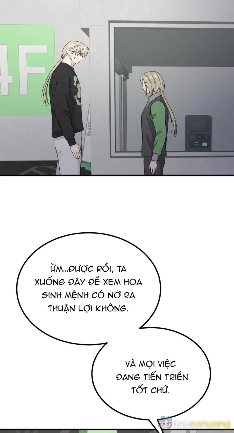 TÌNH YÊU CỔ TÍCH Chapter 37 - Page 8