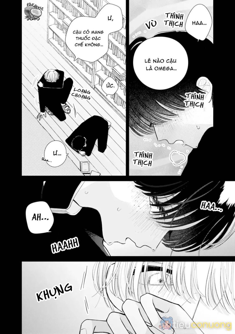 Veil Blue and Gardenia Bouquet Chapter 3 - Page 13