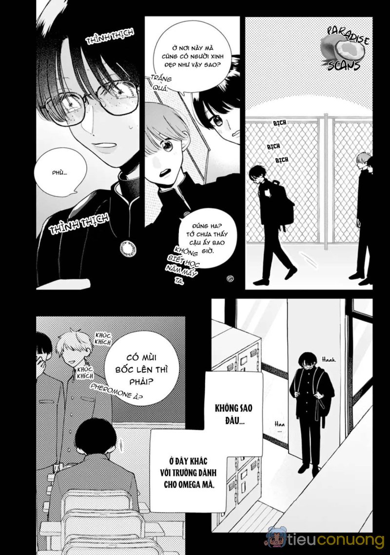 Veil Blue and Gardenia Bouquet Chapter 3 - Page 7