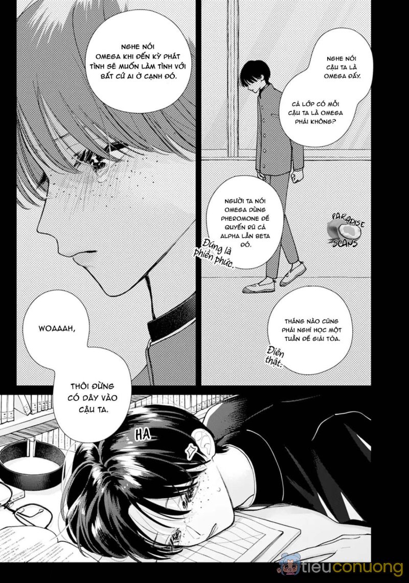 Veil Blue and Gardenia Bouquet Chapter 3 - Page 8