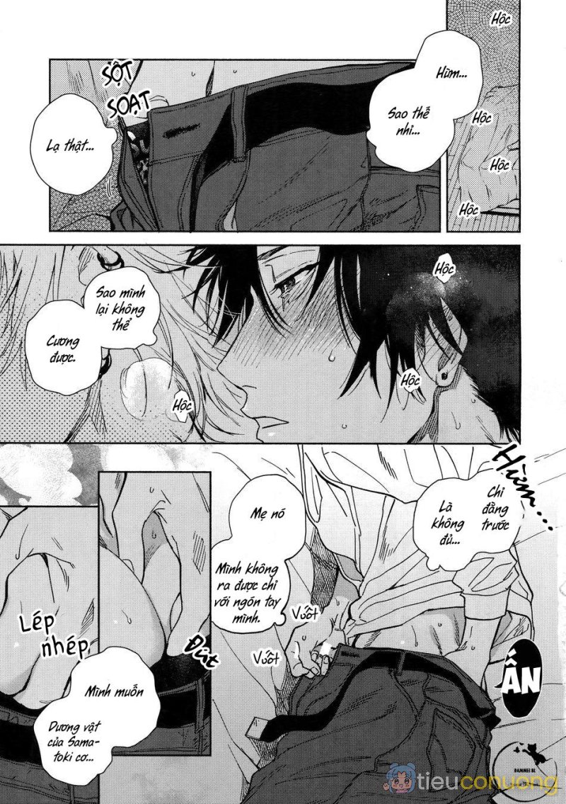 TỔNG HỢP ONESHOT BL CHỊT CHỊT Chapter 76 - Page 11