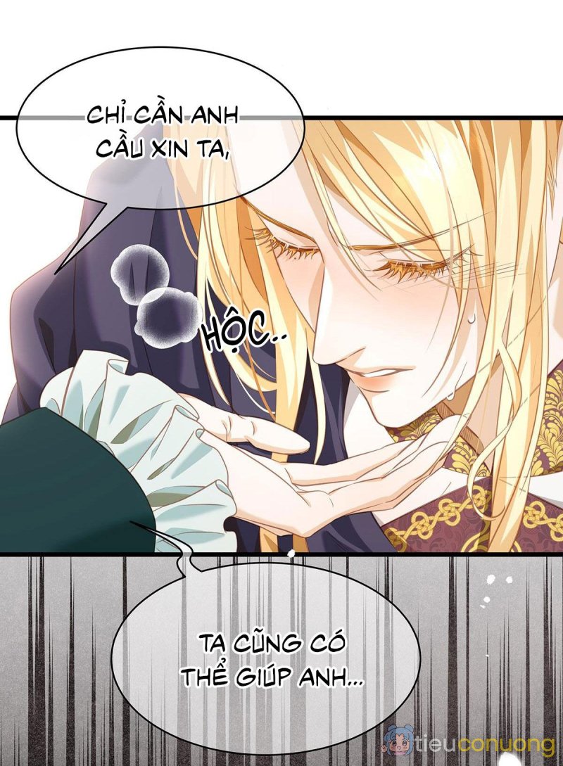 Tôi trùng sinh thành chú rồng đen của vương tử điện hạ Chapter 17 - Page 38