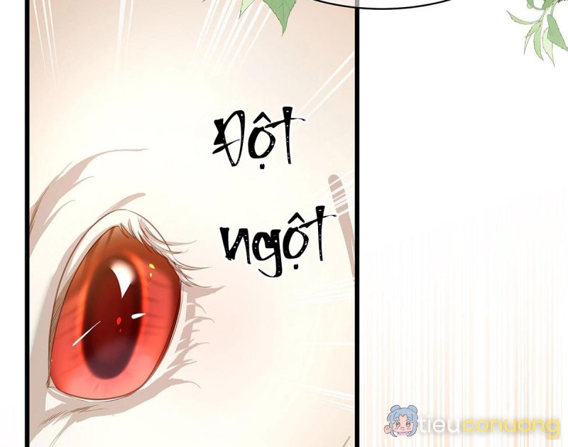 Tôi trùng sinh thành chú rồng đen của vương tử điện hạ Chapter 14 - Page 13