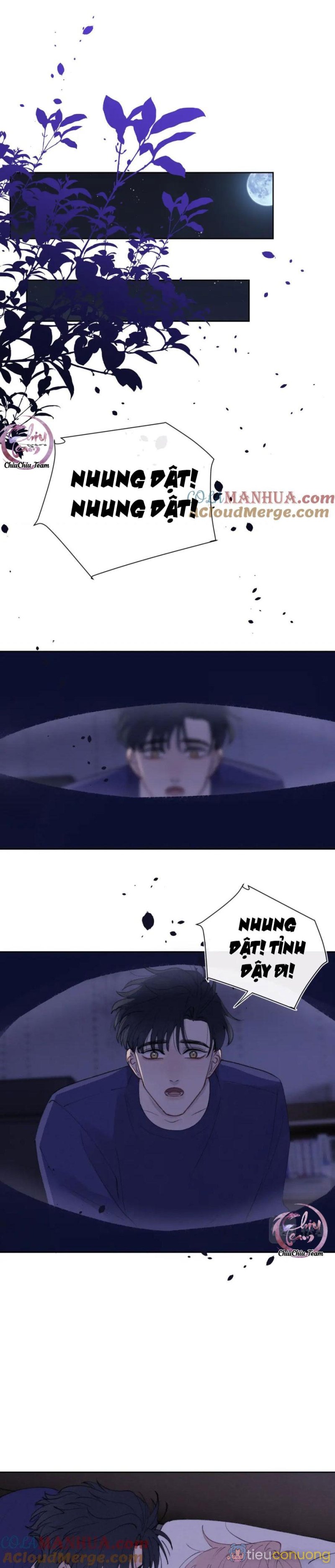 Nhật Ký Thất Tình Của Mr.Nhung Chapter 33 - Page 12