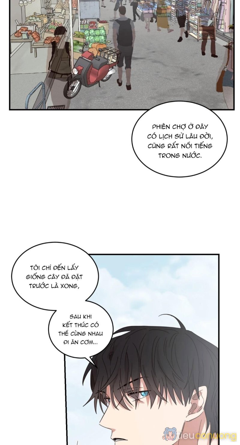 NGÔI NHÀ HƯỚNG MẶT TRỜI MỌC Chapter 19 - Page 25