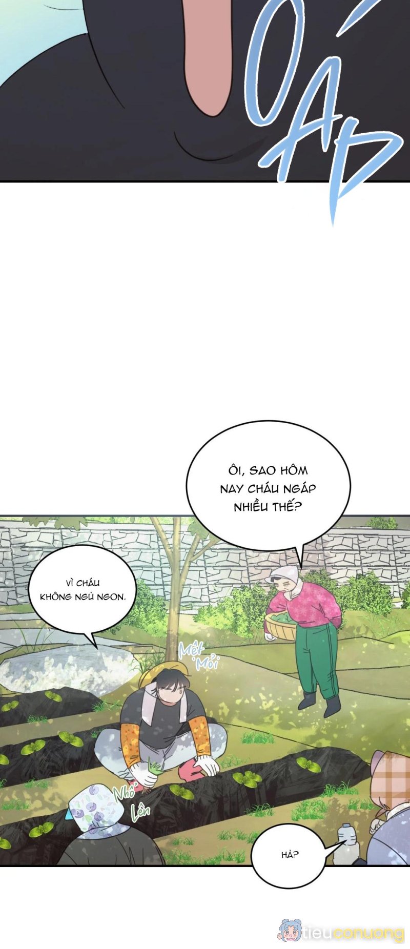 NGÔI NHÀ HƯỚNG MẶT TRỜI MỌC Chapter 25 - Page 15