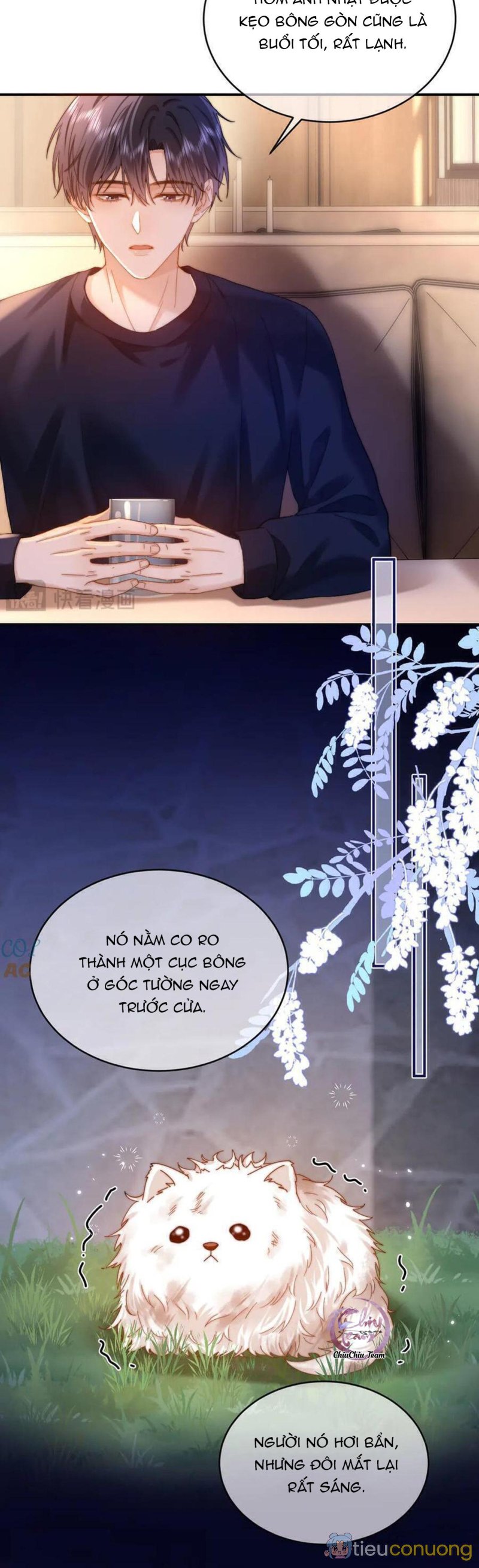 Chất Dị Ứng Đáng Yêu Chapter 52 - Page 3