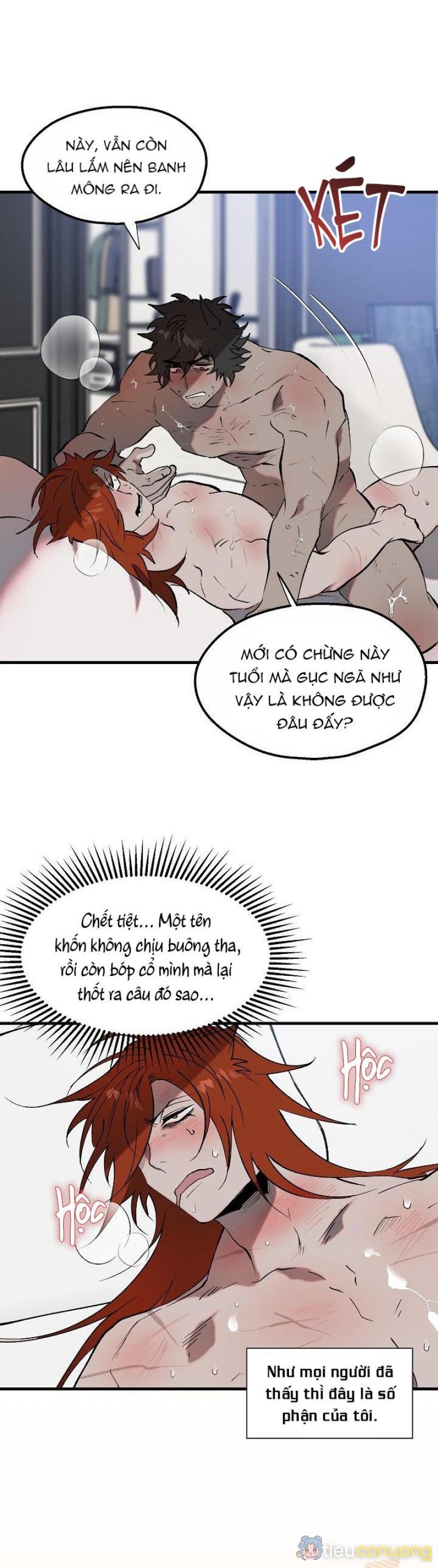 BA CHÚ HEO CON Chapter 8 - Page 3