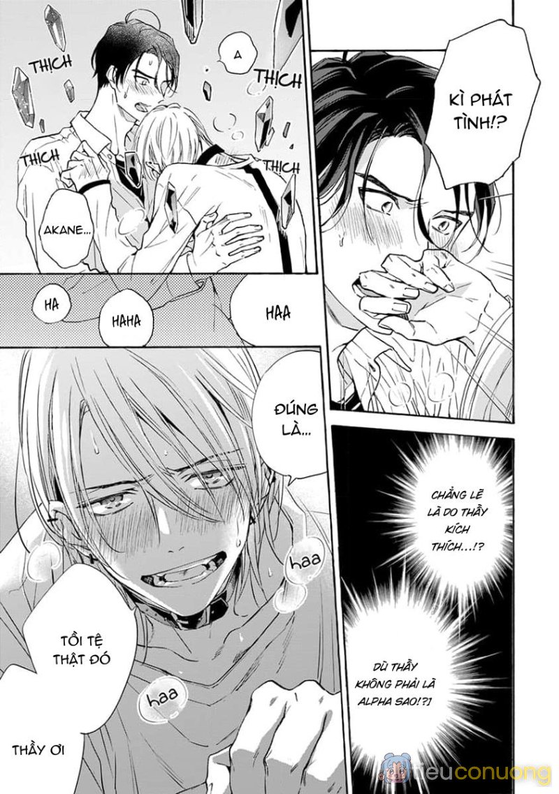 Cắn Nát Viên Ruby Đỏ Chapter 6 - Page 23