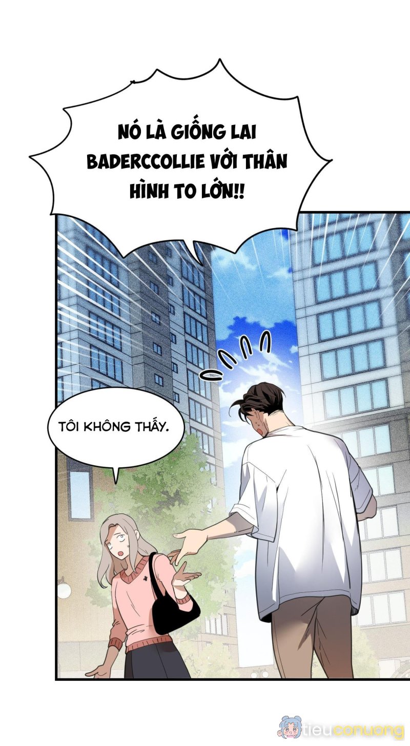 CHUYỆN TÌNH LÔNG CHÓ (END) Chapter 7 - Page 69