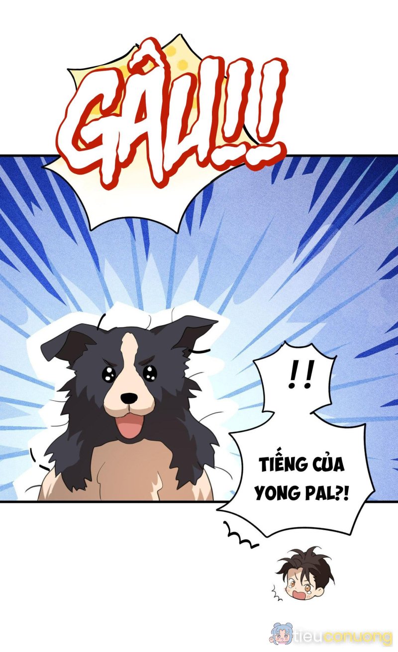 CHUYỆN TÌNH LÔNG CHÓ (END) Chapter 7 - Page 71