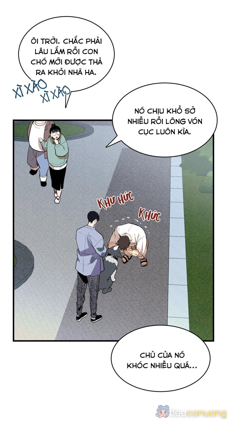 CHUYỆN TÌNH LÔNG CHÓ (END) Chapter 8 - Page 6