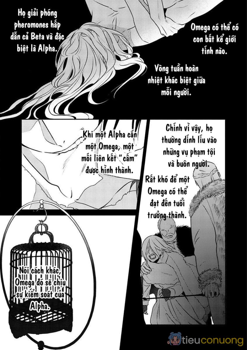 Omega Của Hoàng Cung Chapter 1 - Page 7