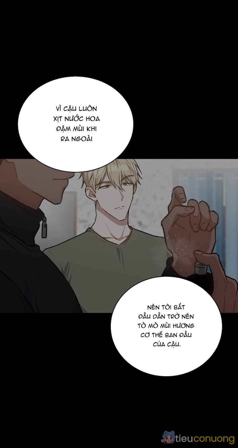 BƠI TRONG MÙI HƯƠNG Chapter 11 - Page 16