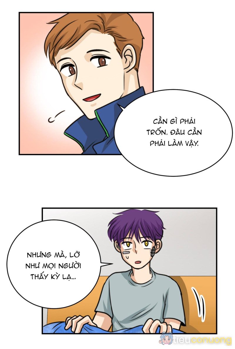 SỰ TRẢ THÙ MÉO MÓ Chapter 19 - Page 10