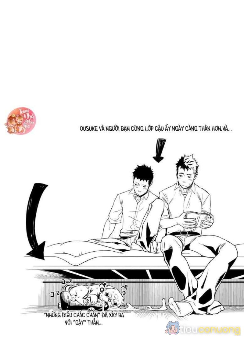 Oneshot BL Từ Nhiều Tác Giả - MLèo Dịch Chapter 113 - Page 31