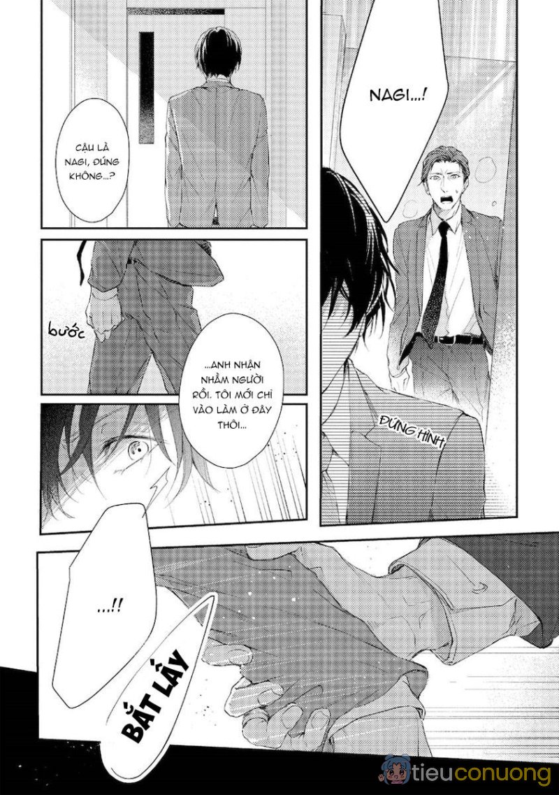 Oneshot BL Từ Nhiều Tác Giả - MLèo Dịch Chapter 128 - Page 12