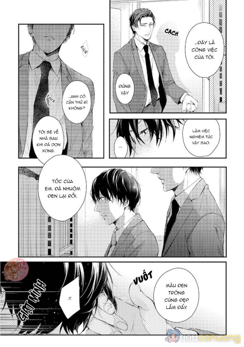 Oneshot BL Từ Nhiều Tác Giả - MLèo Dịch Chapter 128 - Page 29