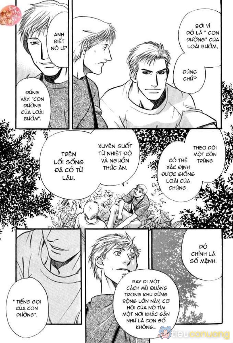 Oneshot BL Từ Nhiều Tác Giả - MLèo Dịch Chapter 122 - Page 18